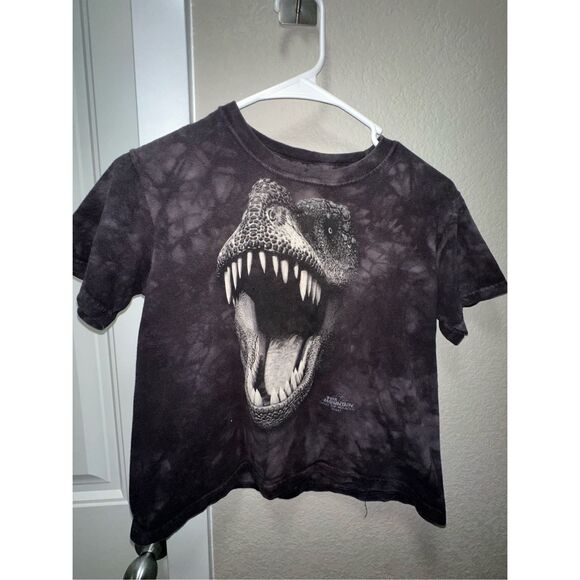 The Mountain TRex Tshirt - Picture 1 of 8